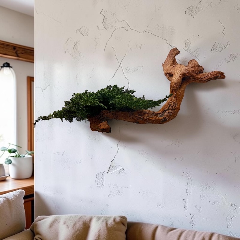 BONSAI JUNIPERUS AEREO CON RAIZ DRIFTWOOD